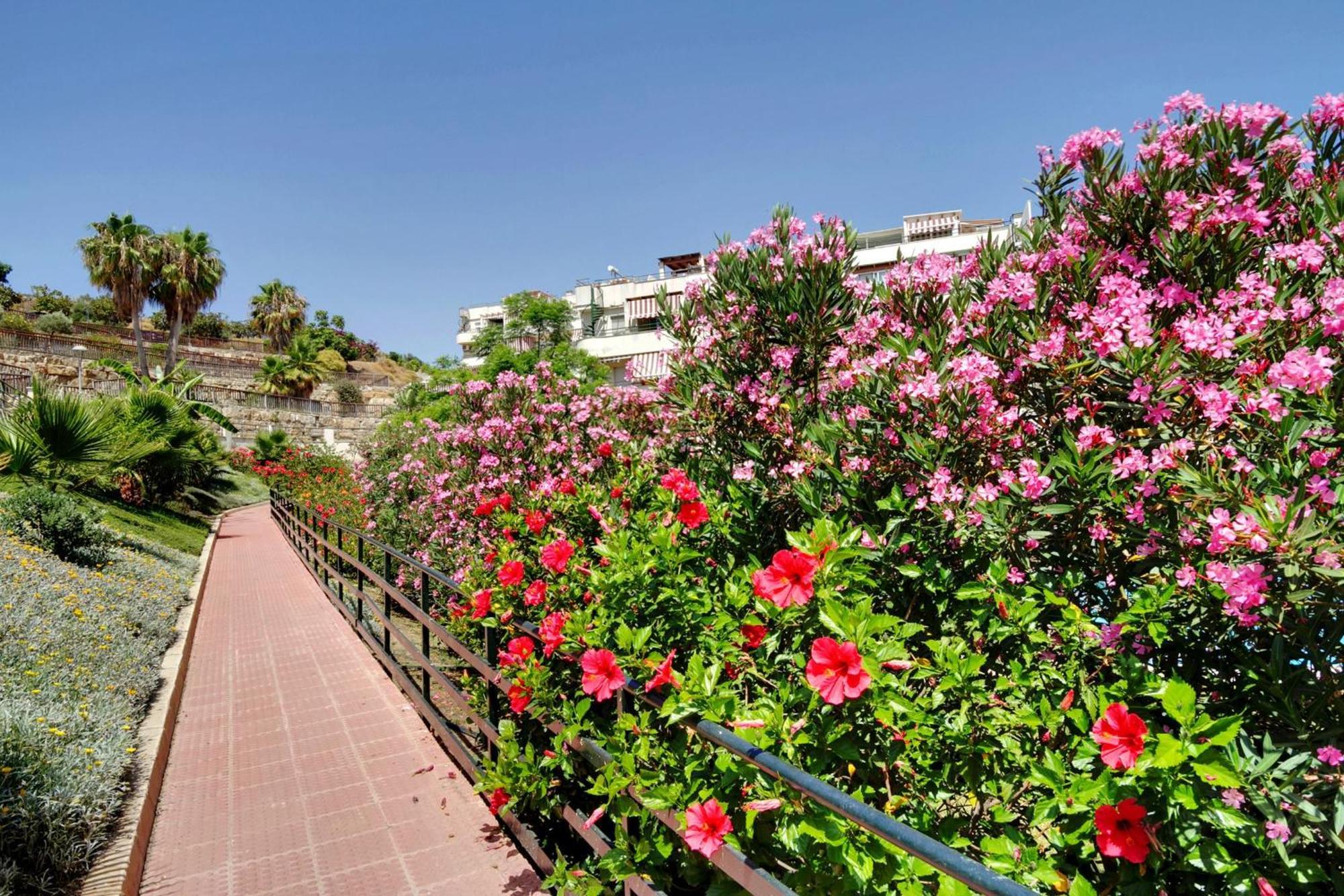 Del Parque Flats - Golf & Beach Terrace Malaga Bagian luar foto